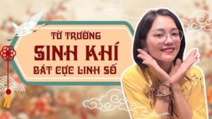 Sinh khí là gì? Giải mã năng lượng Sinh Khí trong Bát Cực Linh Số mang lại may mắn và thịnh vượng